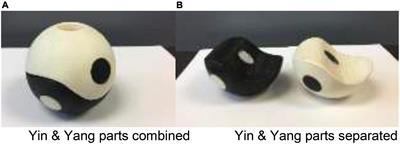 <mark class="highlighted">Wheelchair</mark> Tai Chi Ball Exercise for Improving Neuromuscular Functions of Older Adults With Disability